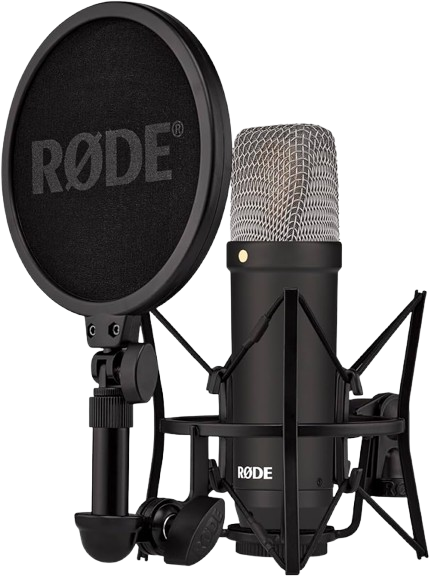 Condenser Microphone (Large Diaphragm)