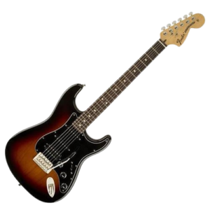 Electric Guitar (Professional)