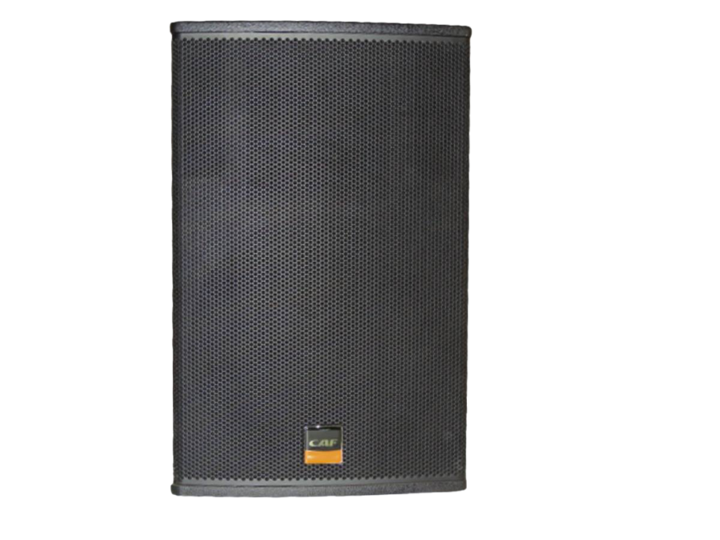 FD-15 15inch CAF Speaker