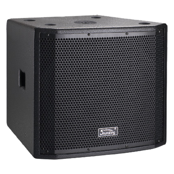 Soundking Bass Speaker