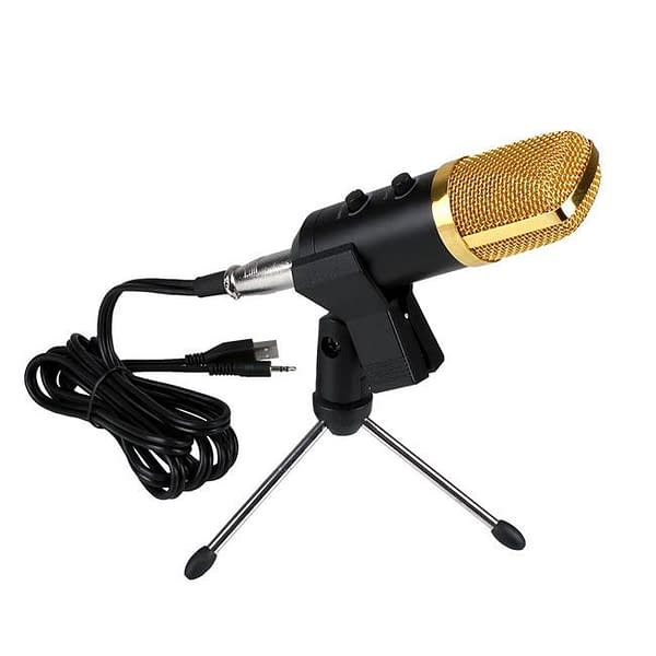 BM -100 FX USB Powered Condenser Mic Lifestyle