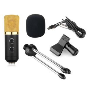 BM -100 FX USB Powered Condenser Mic