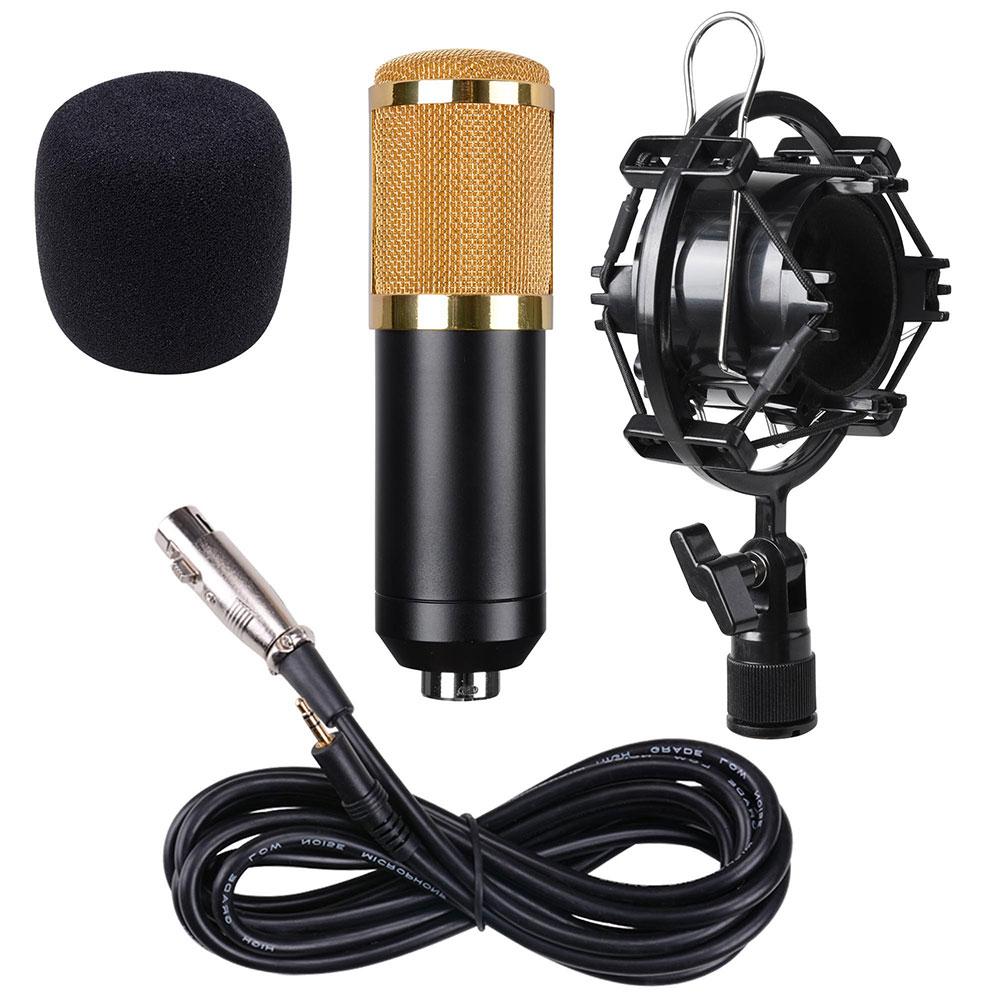 BM800 Professional Condenser Microphone