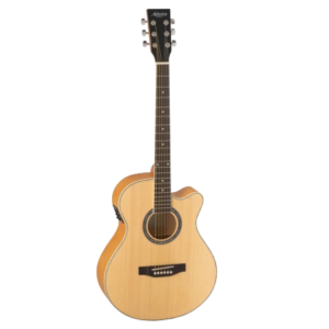 Semi Acoustic Guitar